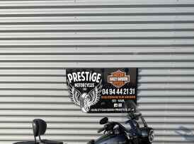 HARLEY-DAVIDSON TOURING ROAD KING 1868 SPECIAL - 2019