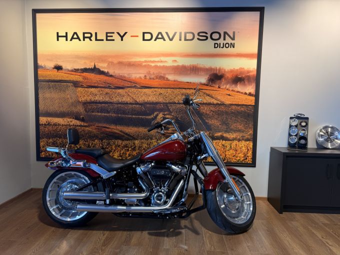 HARLEY-DAVIDSON SOFTAIL FAT BOY 1868 4
