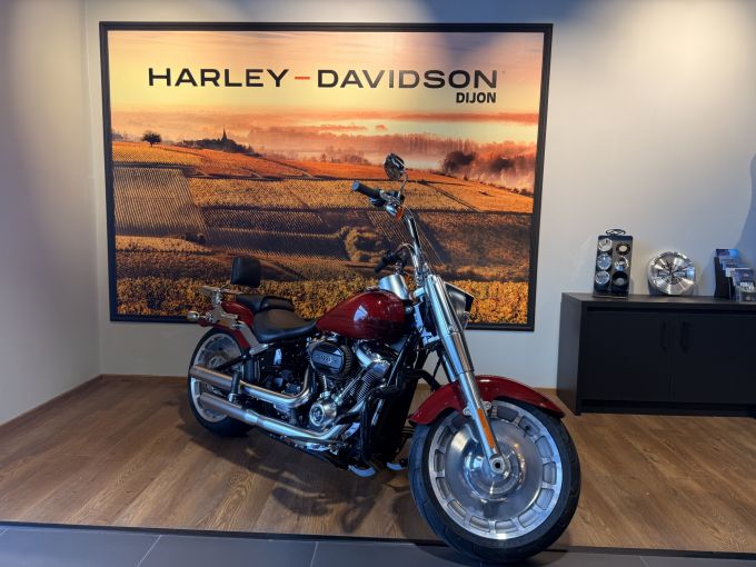 HARLEY-DAVIDSON SOFTAIL FAT BOY 1868 4