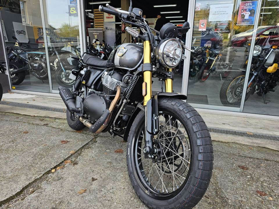 ROYAL ENFIELD BEAR 4