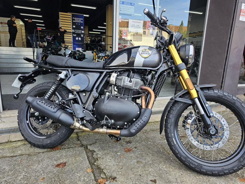 ROYAL ENFIELD BEAR 4