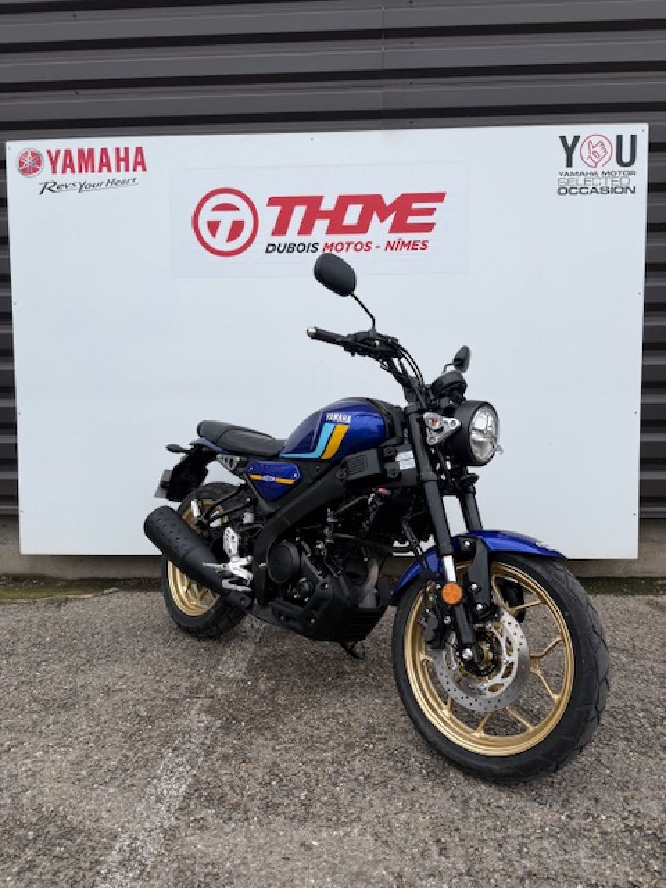 YAMAHA XSR 125 4
