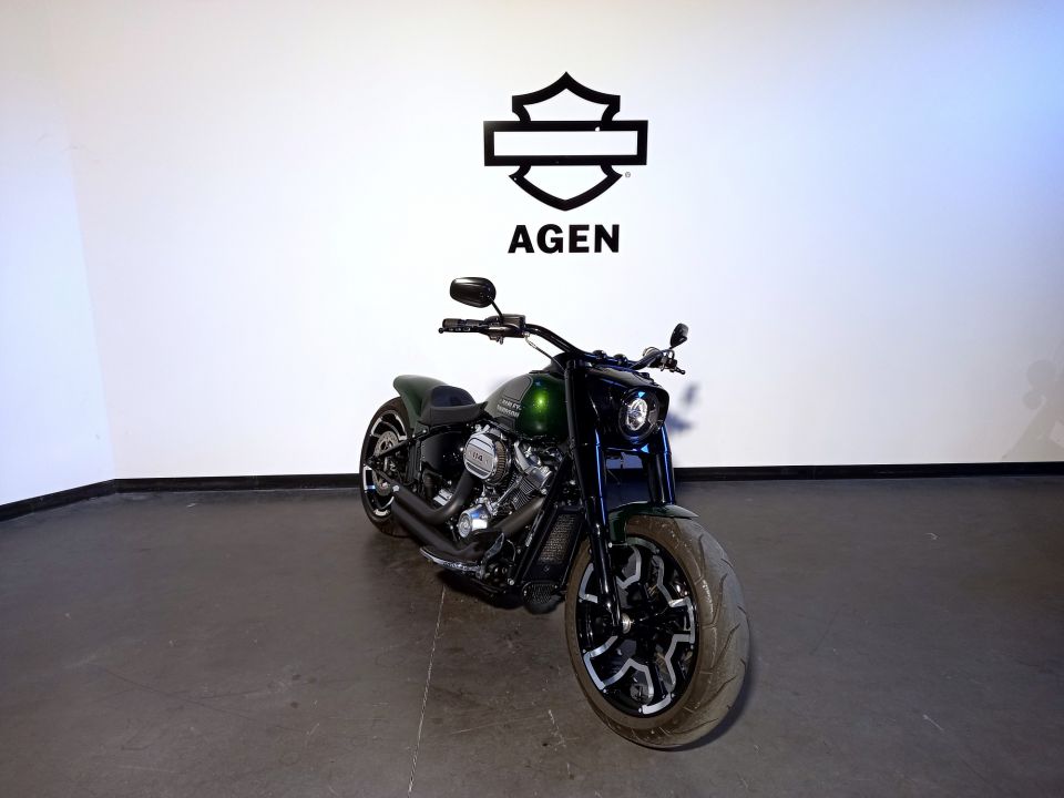 HARLEY-DAVIDSON SOFTAIL FAT BOY 1868 4