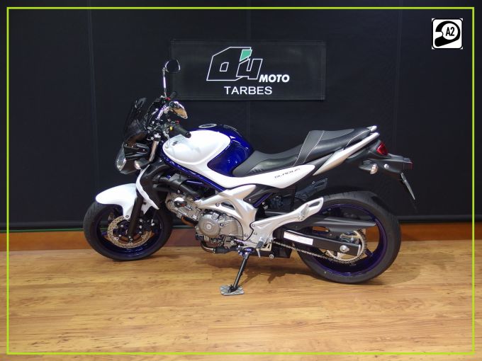 SUZUKI GLADIUS 650 4