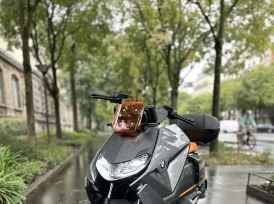 BMW CE 04 - 2025