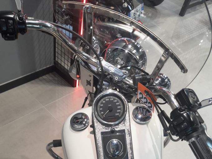 HARLEY-DAVIDSON SOFTAIL HERITAGE 1450 4