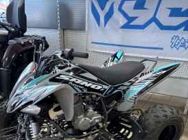 APOLLO MOTORS sand predator 250 - 2024