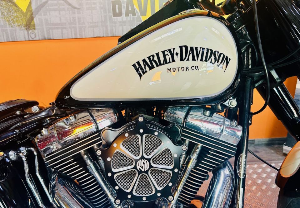HARLEY-DAVIDSON SOFTAIL FAT BOY 1584 4