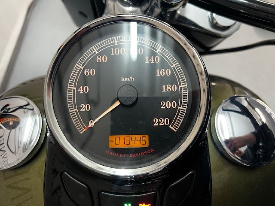 HARLEY-DAVIDSON SOFTAIL SLIM 1690 4
