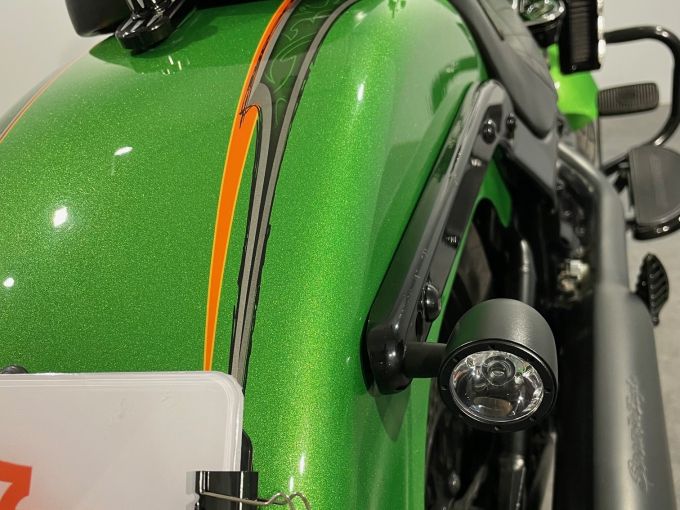 HARLEY-DAVIDSON SOFTAIL FAT BOY 1690 4