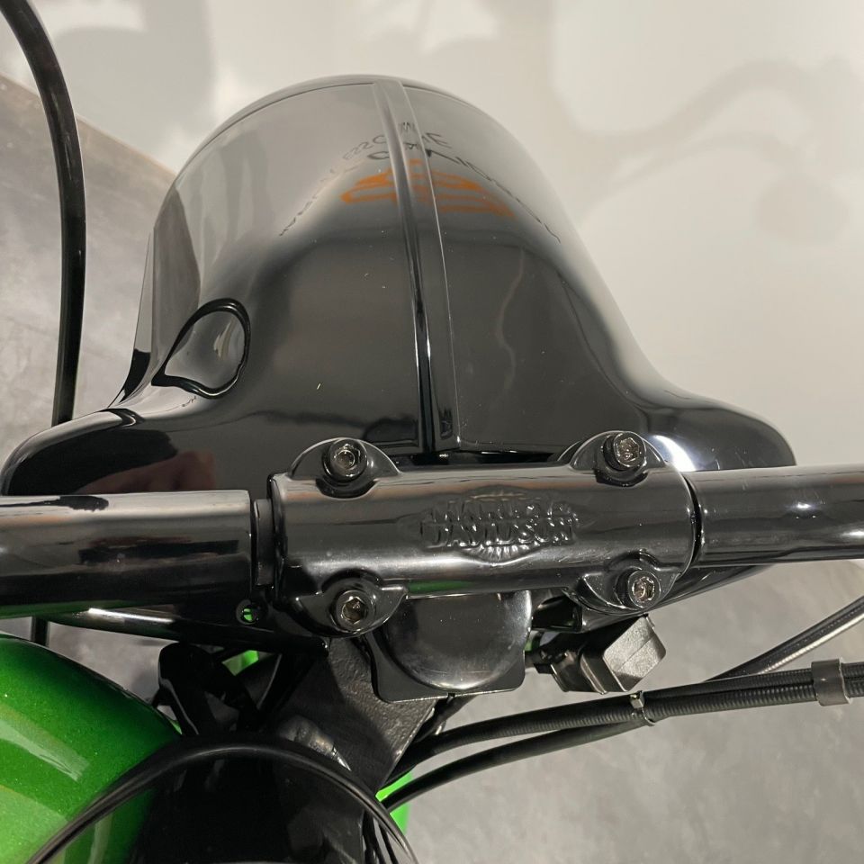 HARLEY-DAVIDSON SOFTAIL FAT BOY 1690 4