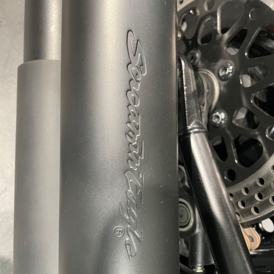 HARLEY-DAVIDSON SOFTAIL FAT BOY 1690 4