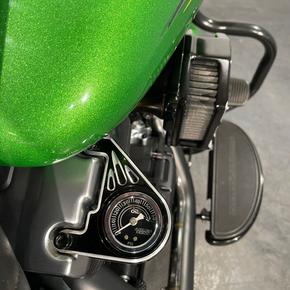 HARLEY-DAVIDSON SOFTAIL FAT BOY 1690 4