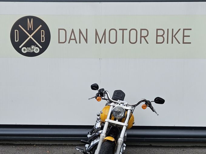 HARLEY-DAVIDSON DYNA SUPER GLIDE 1584 4