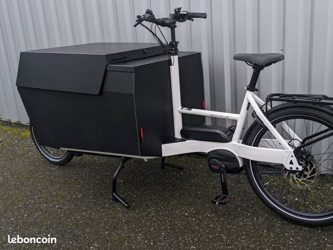 RIESE AND MULLER TRANSPORTER 2 4