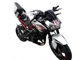 KAWASAKI Z 900 - 2024