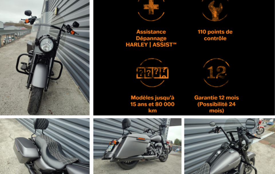 HARLEY-DAVIDSON TOURING ROAD KING 1745 SPECIAL 4