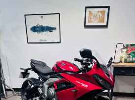 TRIUMPH 	DAYTONA 660 - 2024