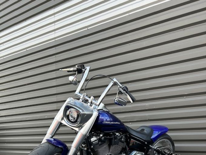 HARLEY-DAVIDSON SOFTAIL FAT BOY 1868 4