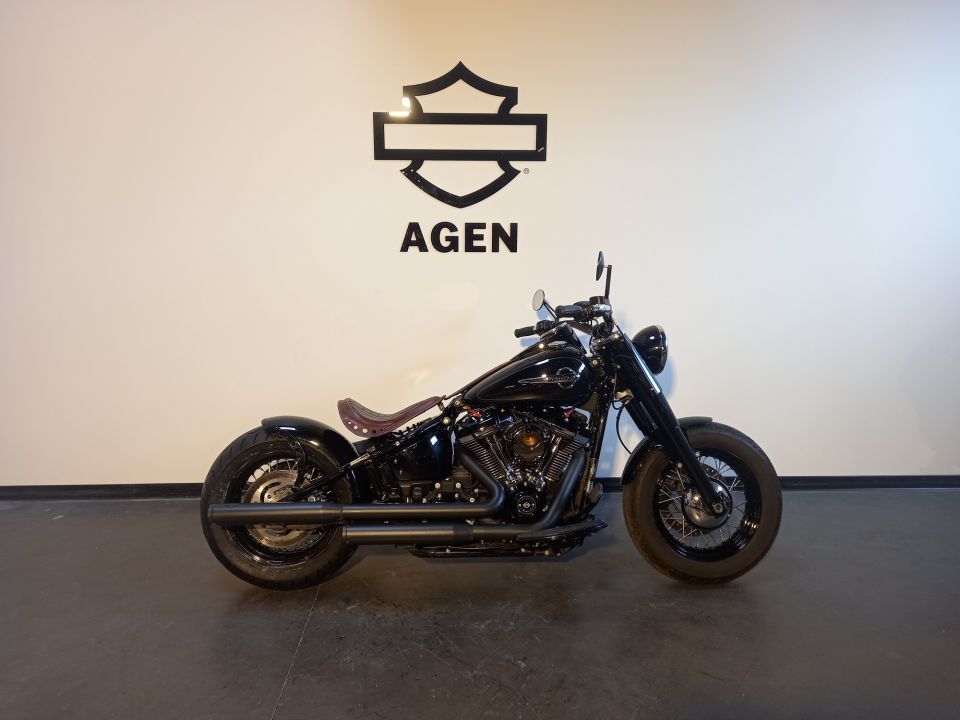 HARLEY-DAVIDSON SOFTAIL HERITAGE 1868 4