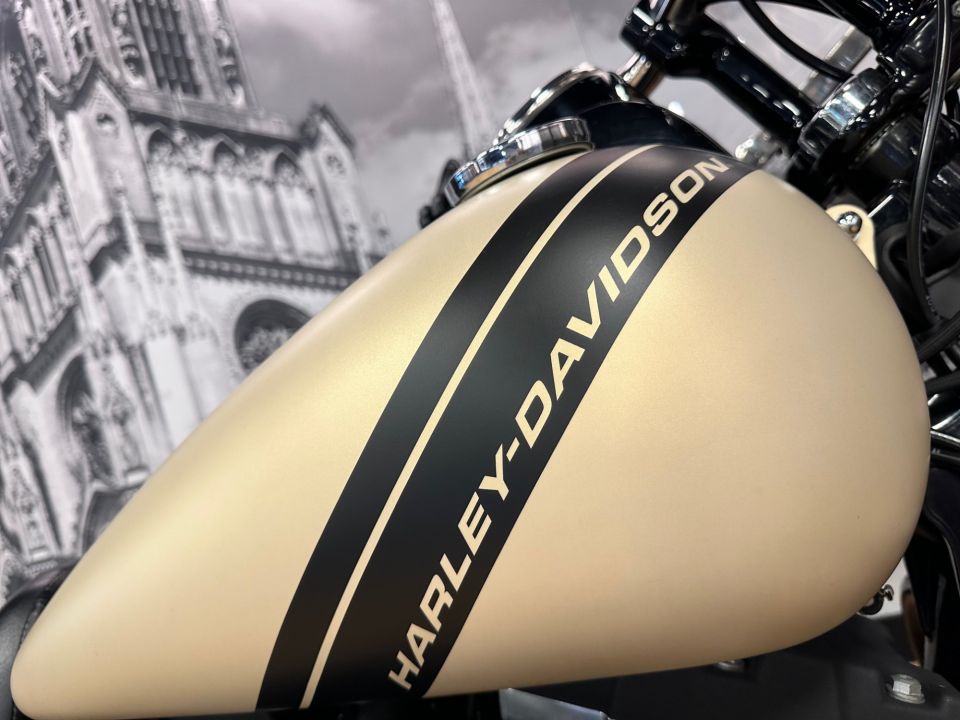 HARLEY-DAVIDSON DYNA FAT BOB 1690 4