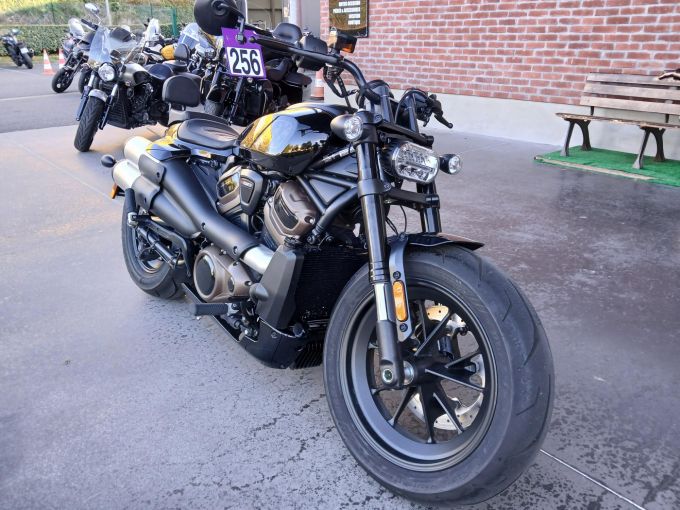 HARLEY-DAVIDSON SPORTSTER 1250 S 4