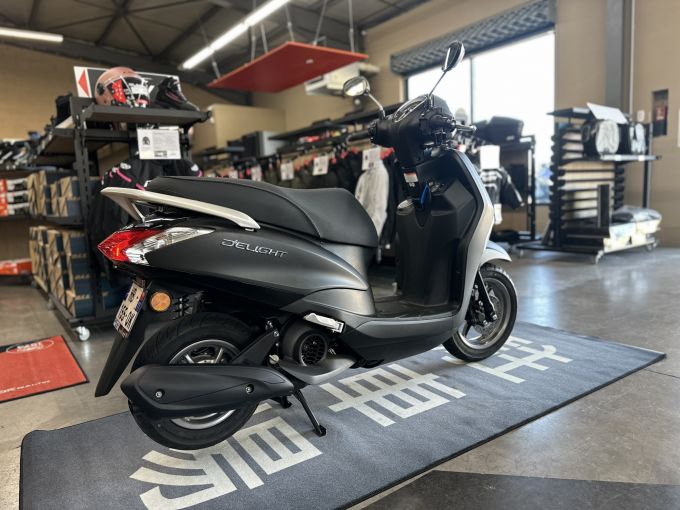 YAMAHA D'ELIGHT 4
