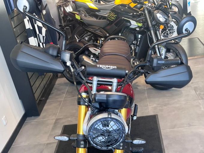 TRIUMPH Scrambler 400 X 4