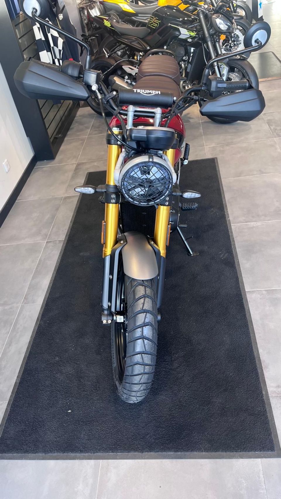 TRIUMPH Scrambler 400 X 4