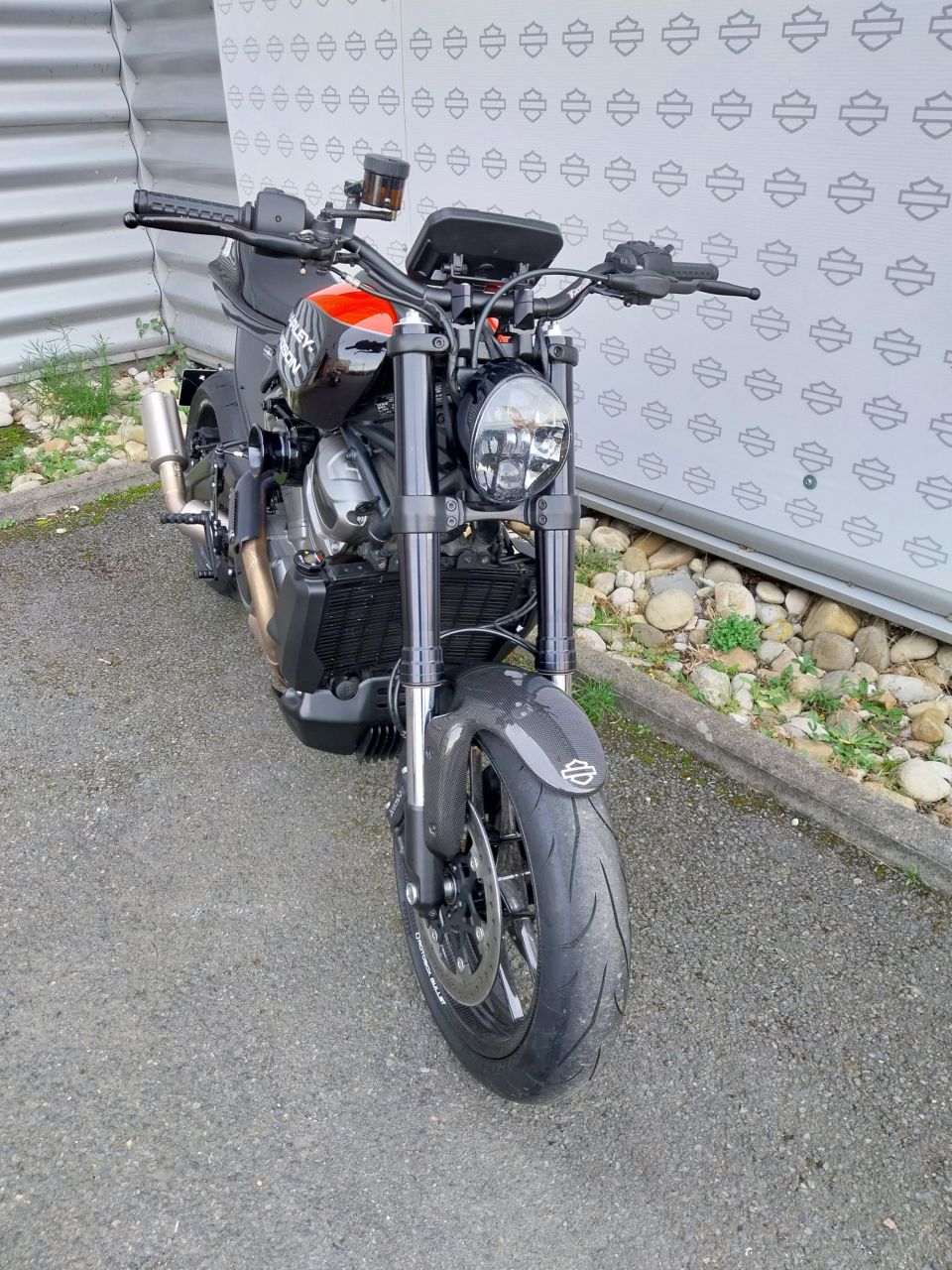 HARLEY-DAVIDSON ADVENTURE PAN AMERICA 1250 4