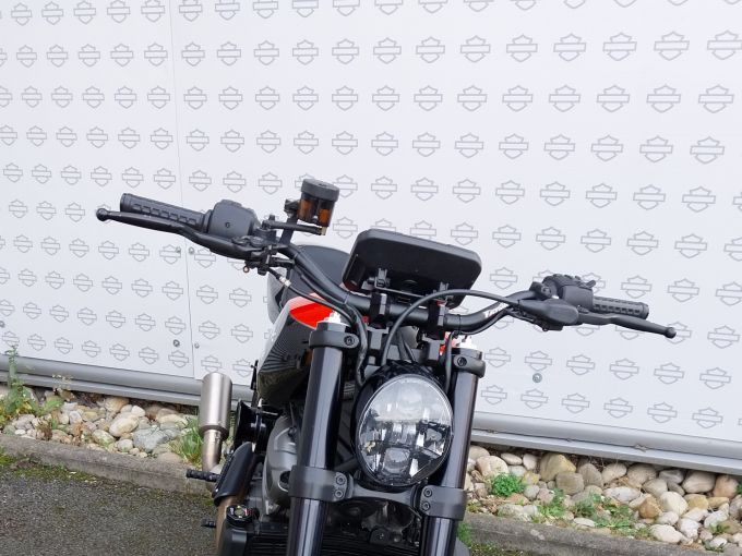 HARLEY-DAVIDSON ADVENTURE PAN AMERICA 1250 4