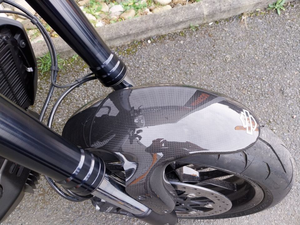 HARLEY-DAVIDSON ADVENTURE PAN AMERICA 1250 4