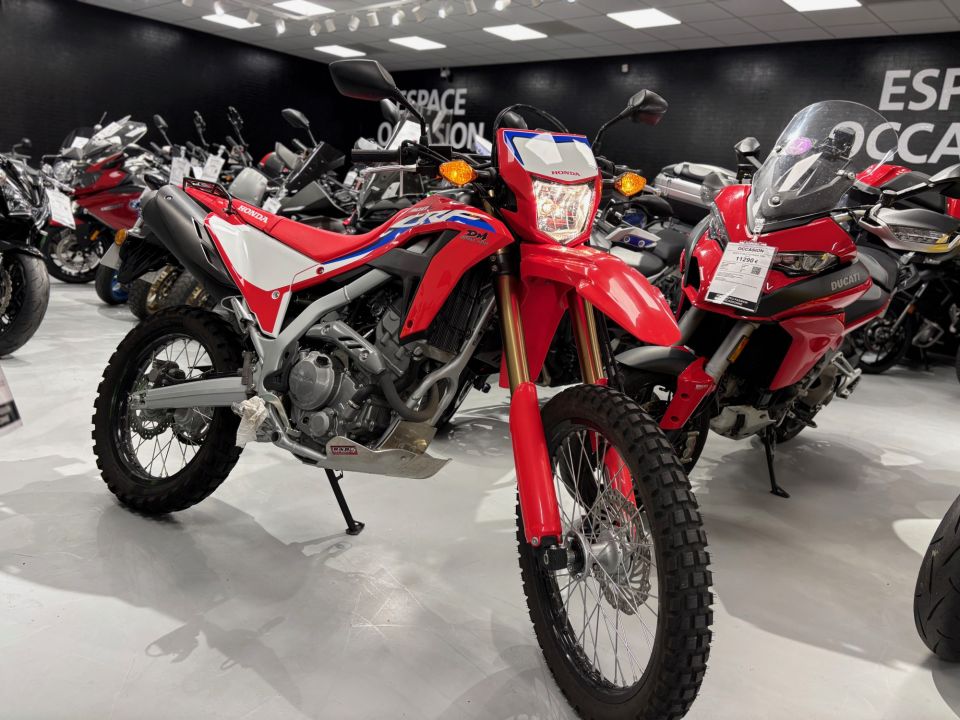 HONDA CRF 300L 4