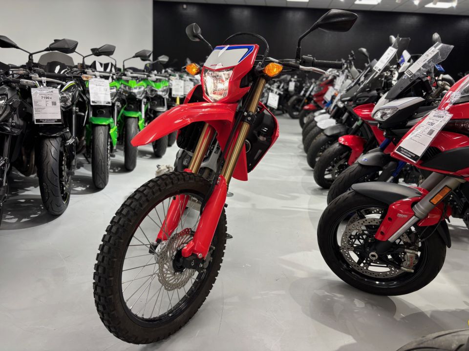 HONDA CRF 300L 4