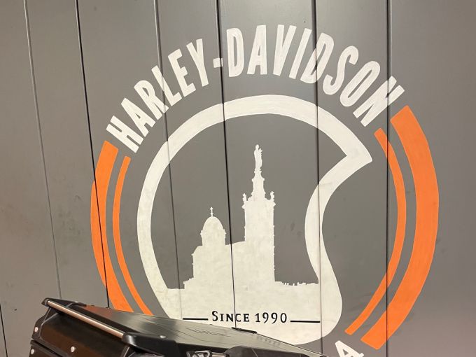 HARLEY-DAVIDSON ADVENTURE PAN AMERICA 1250 SPECIAL 4