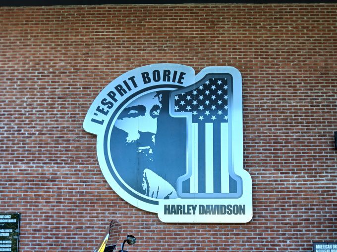 HARLEY-DAVIDSON SOFTAIL SPORT GLIDE 1745 4
