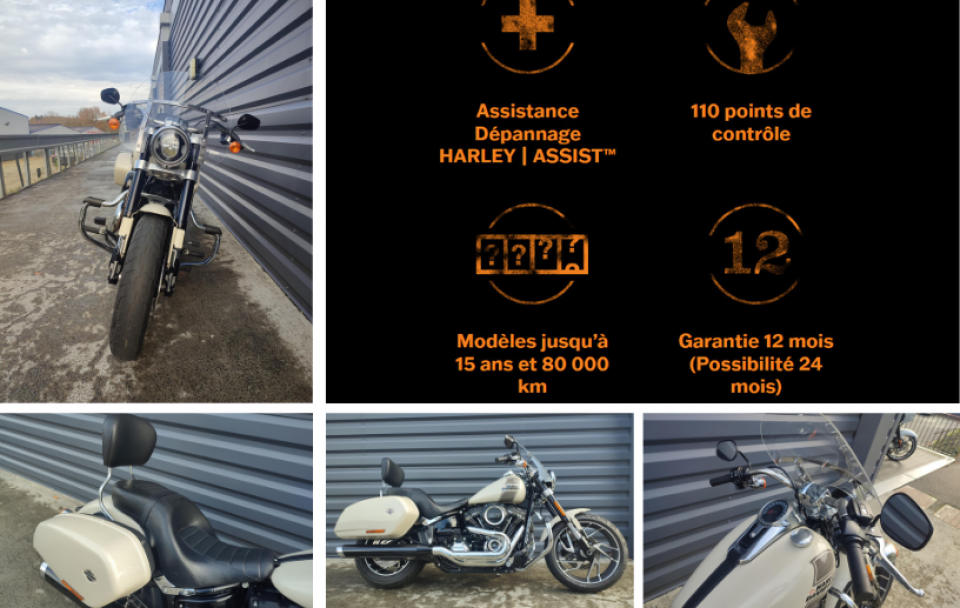 HARLEY-DAVIDSON SOFTAIL SPORT GLIDE 1745 4