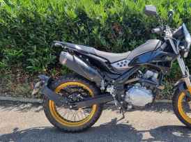 RIEJU TANGO 125 SCRAMBLER - 2022