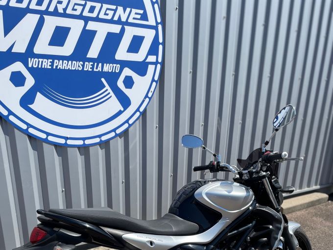 SUZUKI GLADIUS 650 4