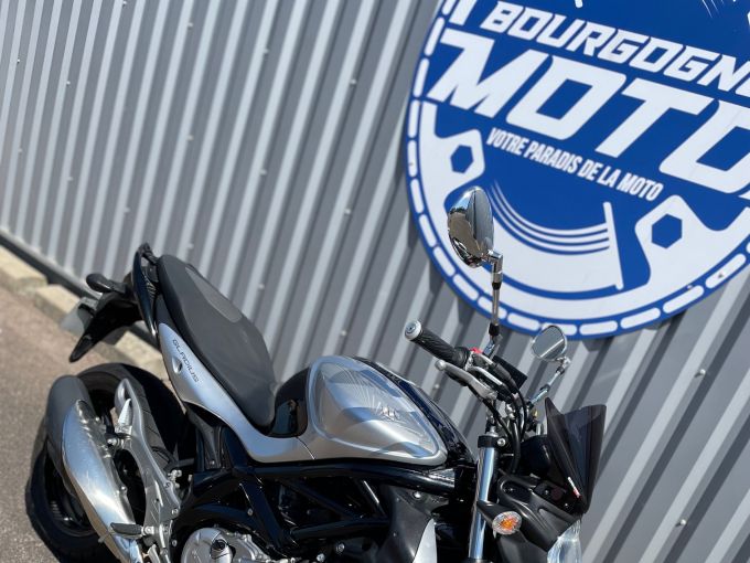 SUZUKI GLADIUS 650 4