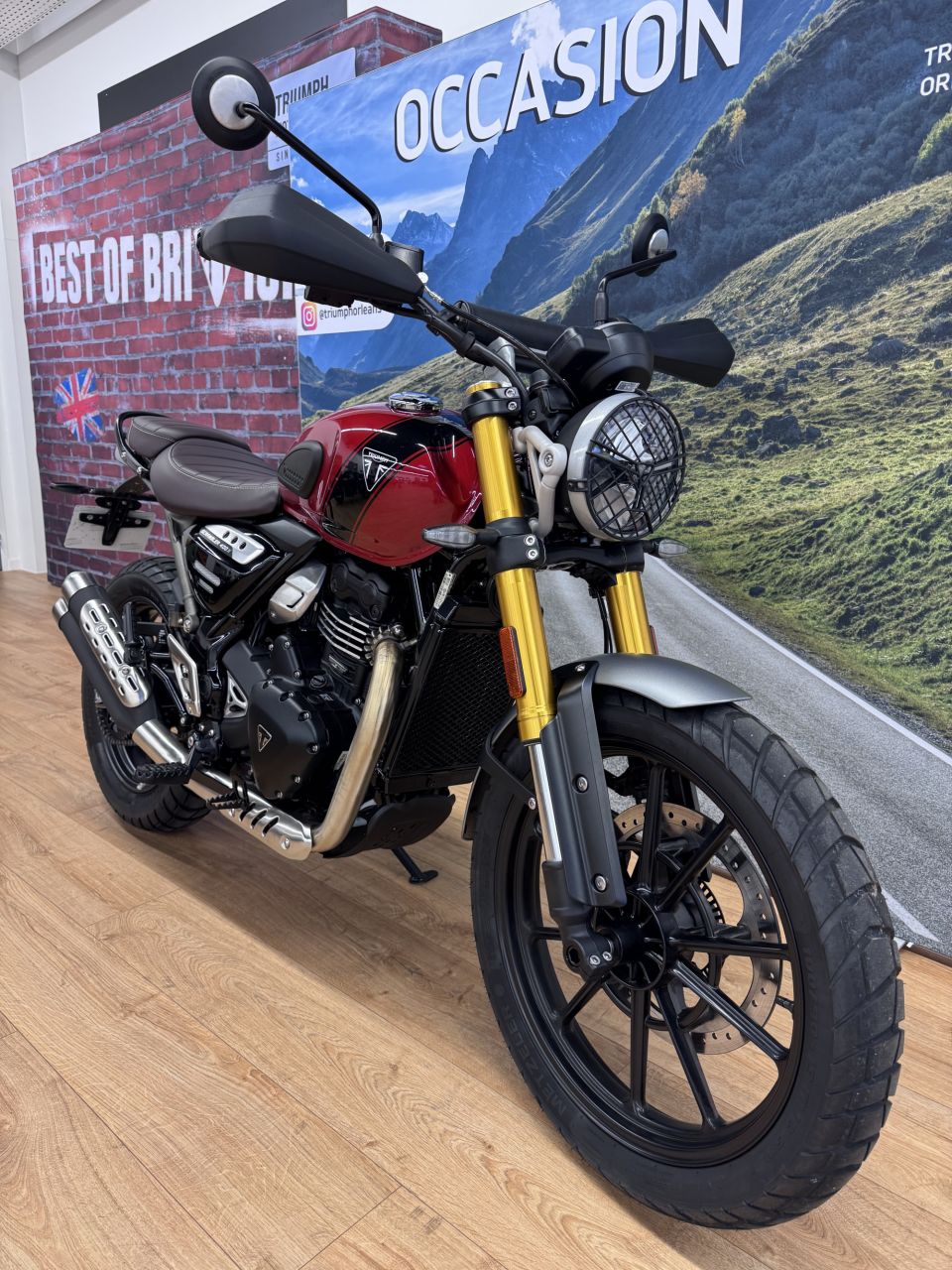 TRIUMPH Scrambler 400 X 4