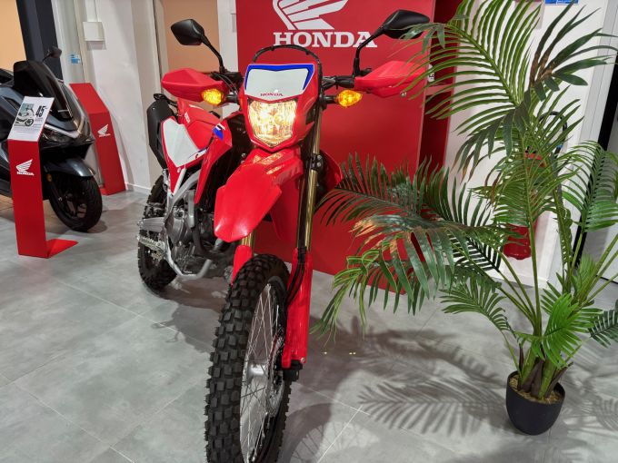 HONDA CRF 300L 4