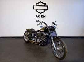 HARLEY-DAVIDSON SOFTAIL CUSTOM 1584 - 2007