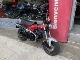 HONDA DAX 125 - 2024