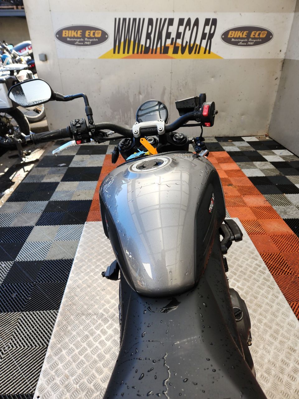 TRIUMPH TRIDENT 660 4