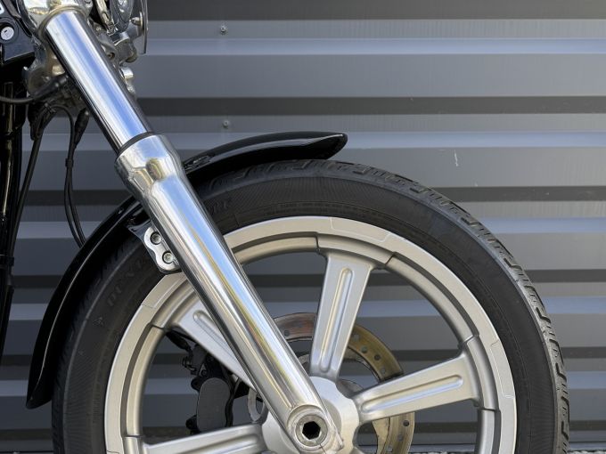 HARLEY-DAVIDSON SOFTAIL STANDARD 1745 4