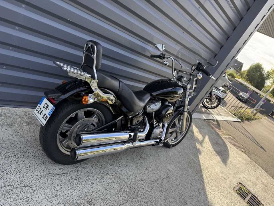 HARLEY-DAVIDSON SOFTAIL STANDARD 1745 4