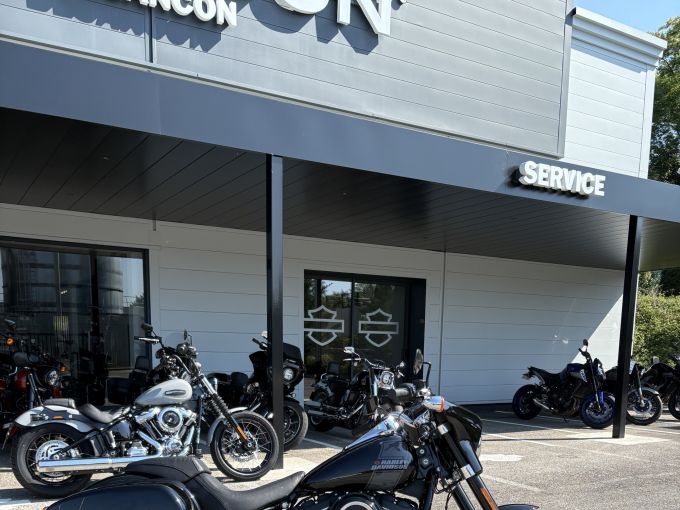 HARLEY-DAVIDSON SOFTAIL SPORT GLIDE 1745 4