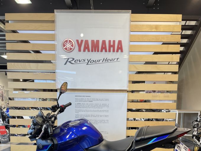 YAMAHA MT-03 4