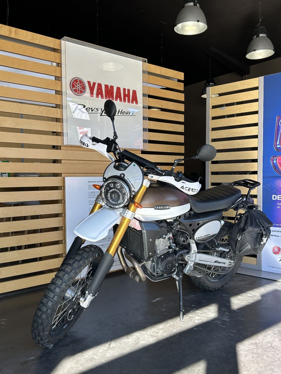 FANTIC CABALLERO 500 EXPLORER 4